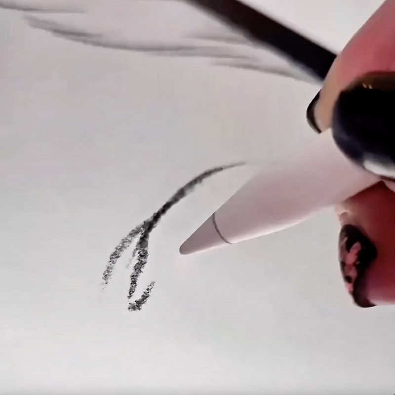 GIF-animatie gepersonaliseerde hoodie borduurwerk op SWF-borduurmachine